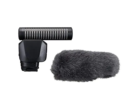 Canon Stereo Microphone DME1D